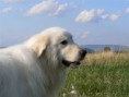 /album/fotogaleria/p1100033-jpg/